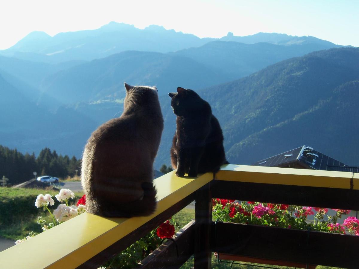 Le Chalet De Bisanne Les Saisies Zewnętrze zdjęcie